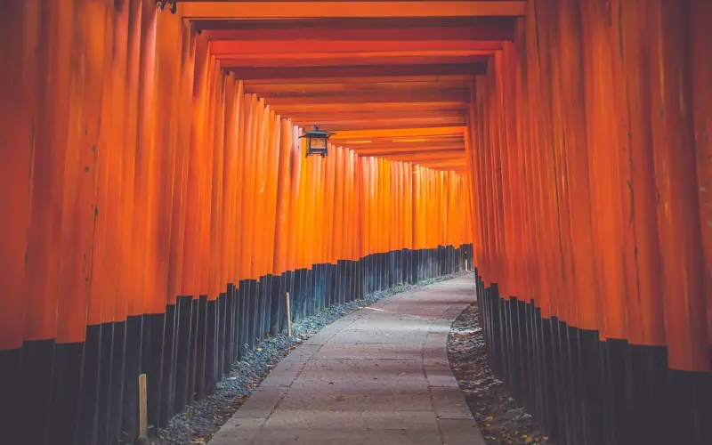 【成功案例】患难中方见真心真意