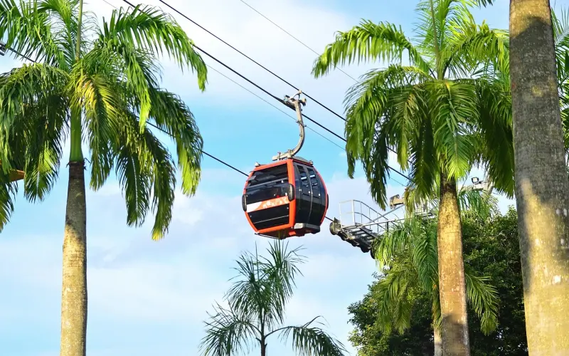 【成功案例】“淘”出来的好男人