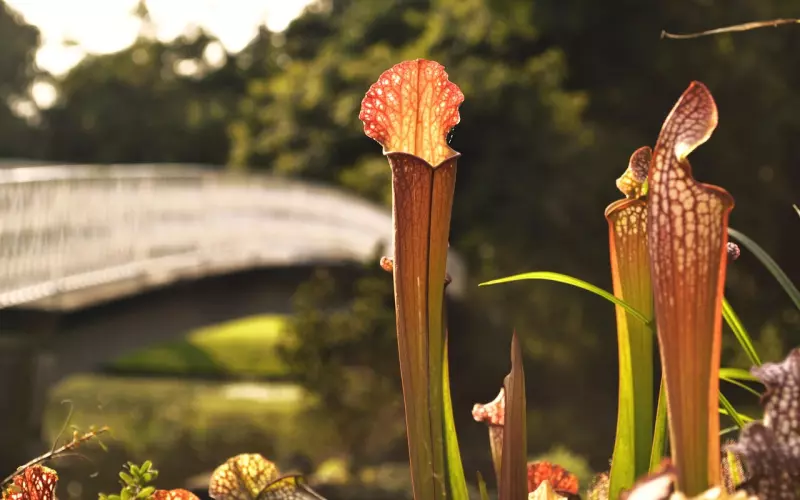挽回成功案例：抓住一个浪子的心！
