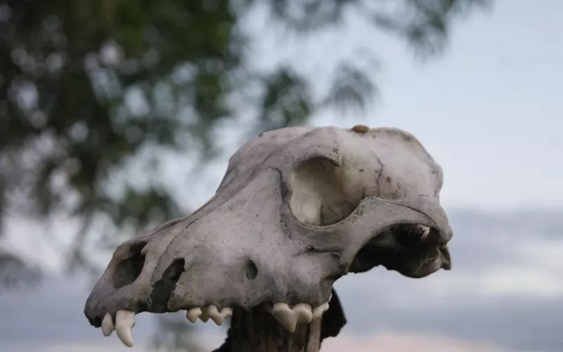 这样断联，引起前任的好奇心，再顽固也主动挽回你！