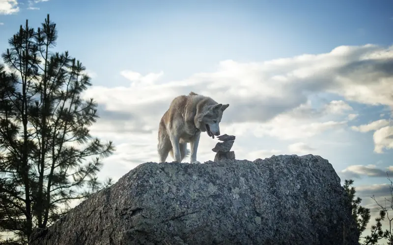 这样的家，才是幸福。