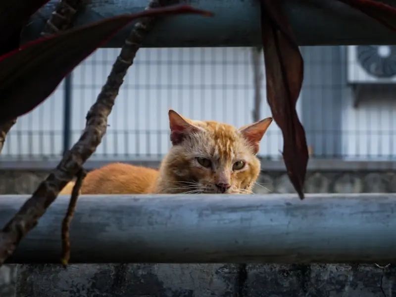 这样的女人，才会让男人想挽回她！