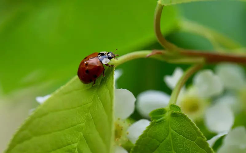 这样的女生更容易占据挽回主动权