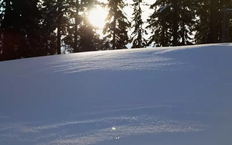 这样的人，却是最容易挽回成功