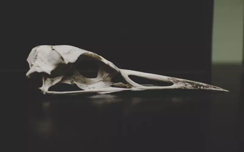 在爱情里的这类人，不死也是半残了