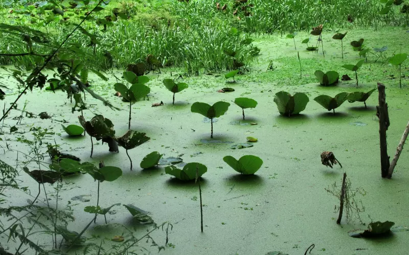 一夕之间，忽而中年。