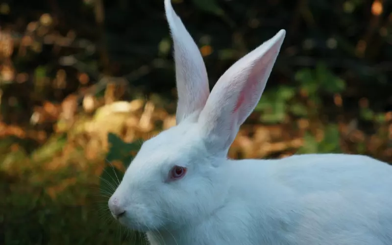 适合发朋友圈最火的说说短句，句句触动人心，总有一句适合你