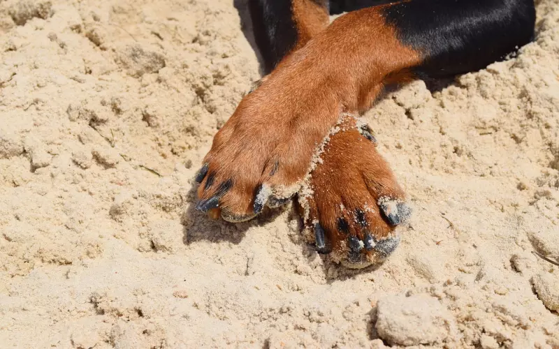 超霸气的句子，短、狠、拽，肯定适合你发朋友圈！