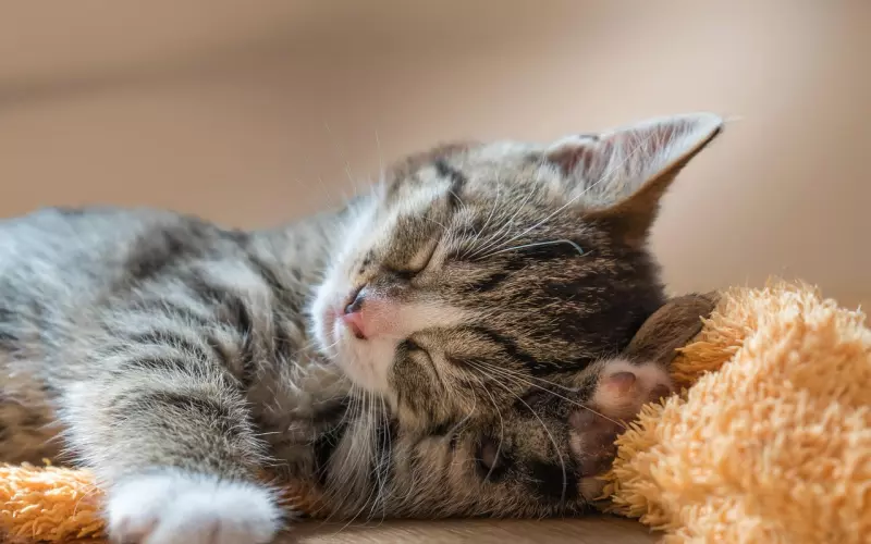 超无奈的句子说说心情短语，句句催泪，太伤感了