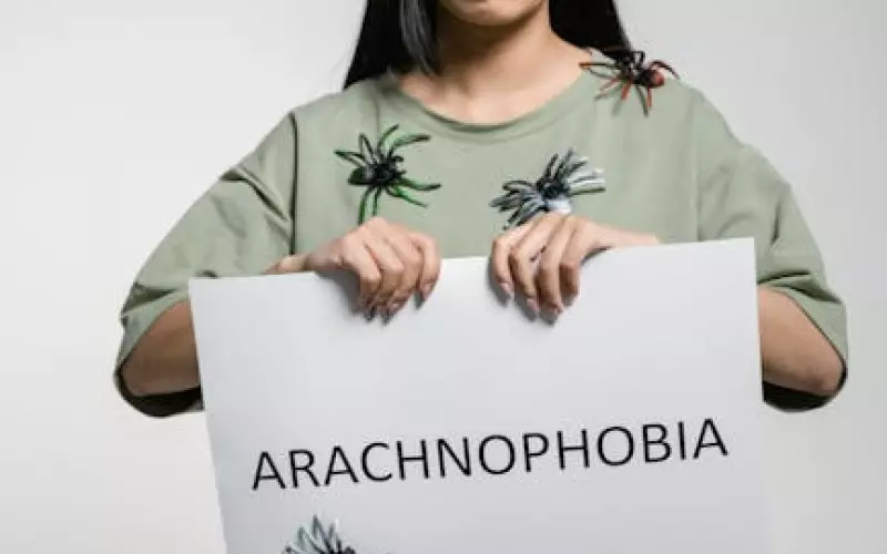 女人婚姻恐惧症的表现(婚姻恐惧症原因有哪些)