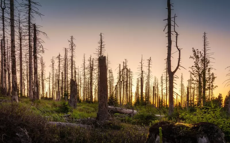 挽回女友禁忌：不要死缠烂打