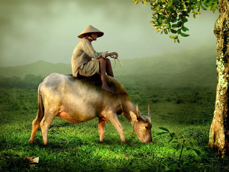 挽回男友攻心术：学会三招让男友对你死心塌地，挽回男人的心