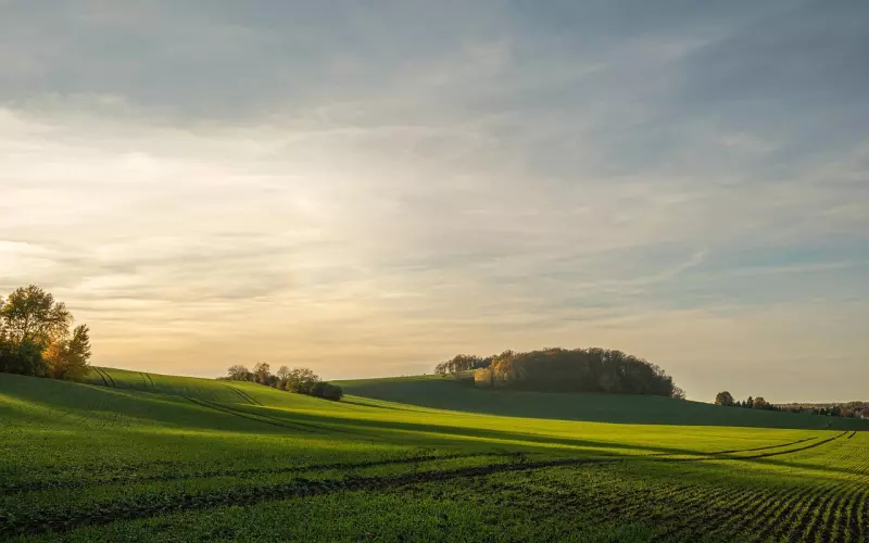 泰正佛堂-12月11日龙婆缇蜡烛预定