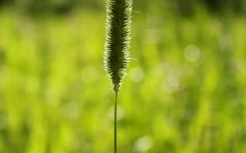 太作主动提分手，怎么挽回男友