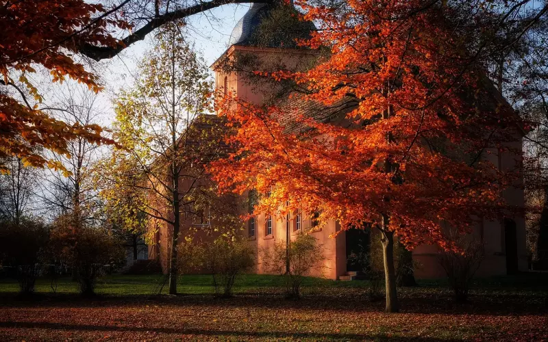 泰正佛堂-11月21日太岁灯大法会