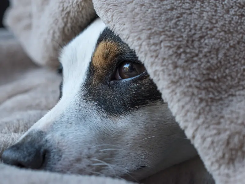 最让女人“舒服”的5个小动作，看看，你做过几个？