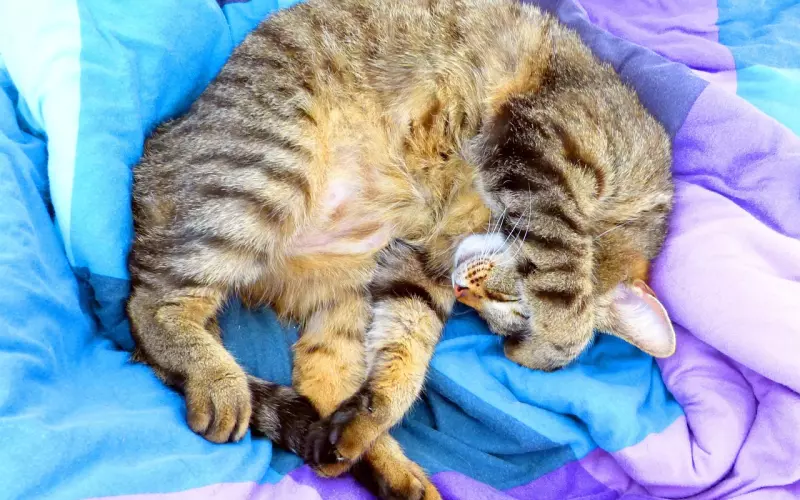 凡事太较真，累了自己，苦了心