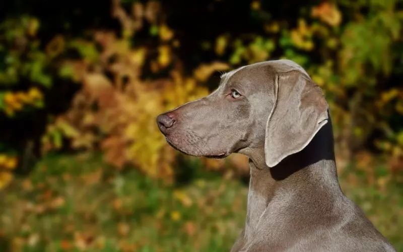 分手后主动联系，不肯复合，只谈暧昧？