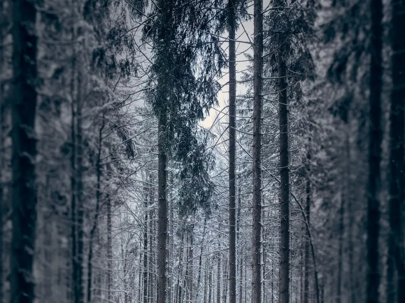 金牛座对爱情非常执着认真，很难喜欢上一个人，因为太务实了