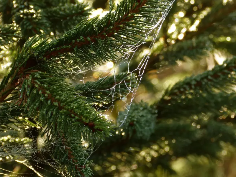 金牛座：和金牛谈恋爱需要注意什么？别犯了禁忌！