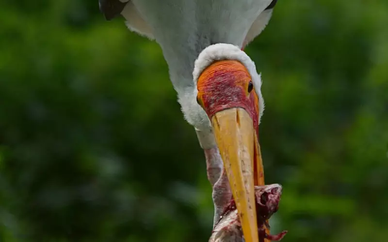 教你追女孩的10大绝招，必收藏！