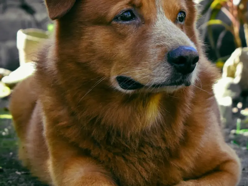 教你2招让你轻松追到喜欢的女生！