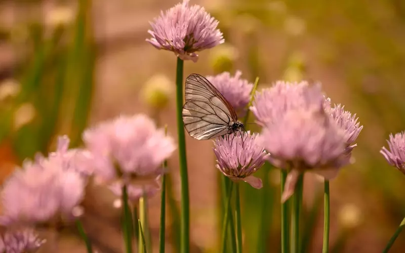教你3个追女生的技巧，不需要天天联系也能追到！