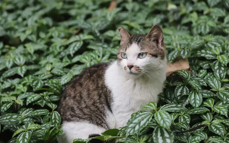 教你追女生的3个大招技巧!