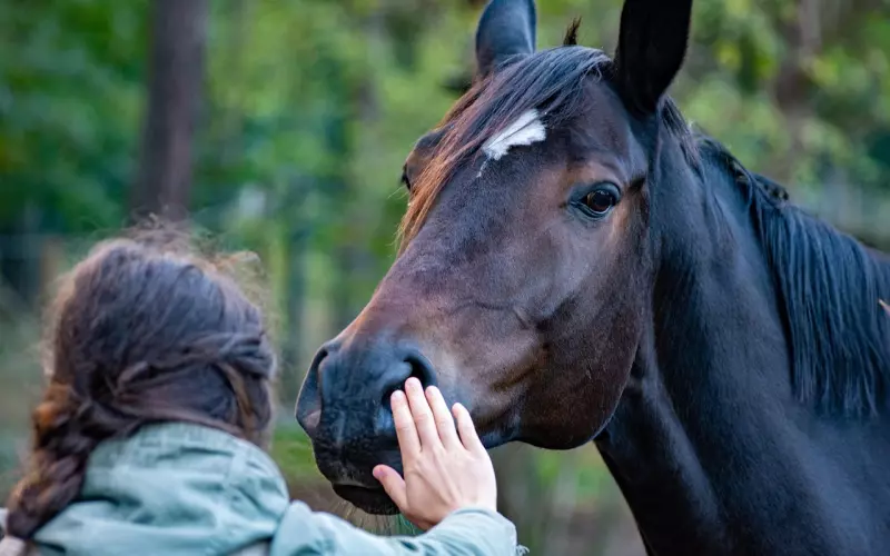 教你3个追女生方法，不需要天天联系，也能手到擒来！