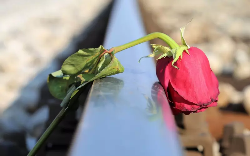 教你6招挽回失去的感情