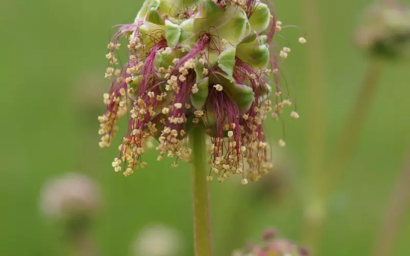 教你把老公从小三身边吸引回来