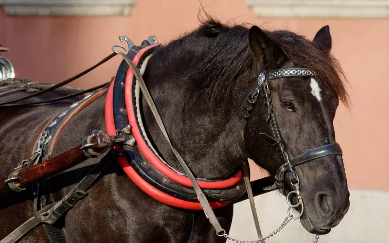 教你如何轻松驾驭花心男友
