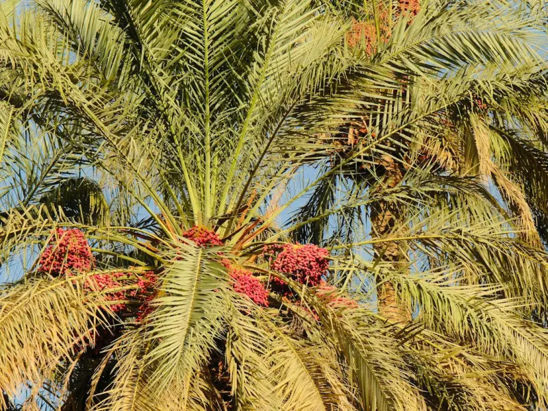 教你追女生撩妹怎么找话题？