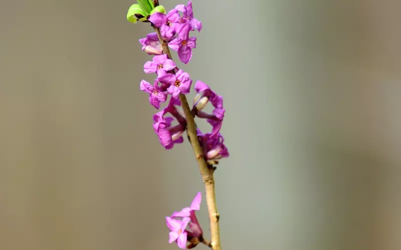 教你如何搞定自己的第一个女朋友!