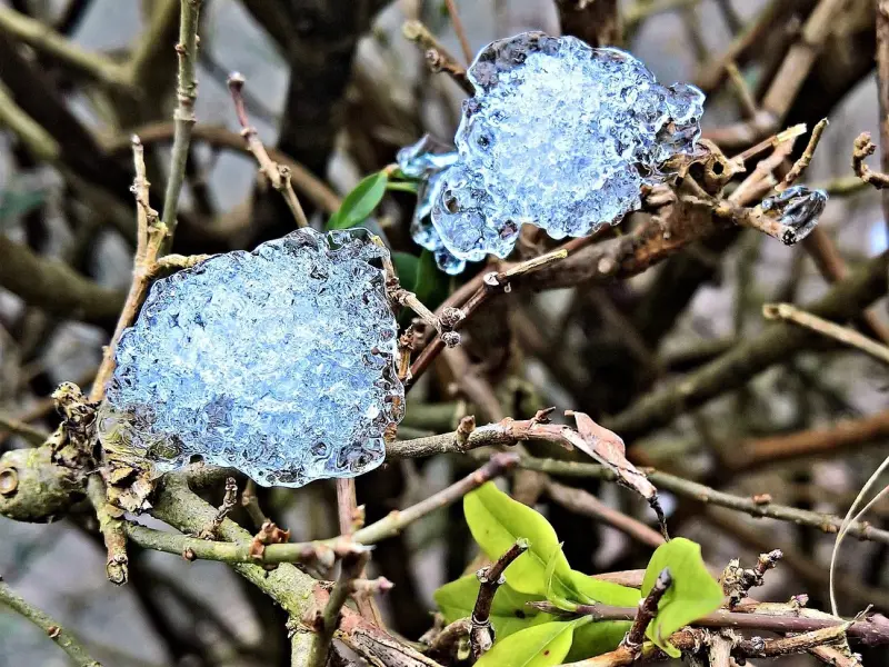 教你识别花心渣男