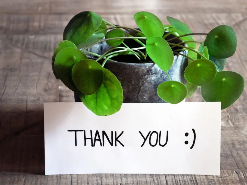 分手后教你约会时，该如何化妆、聊天。能让前任主动找你和好