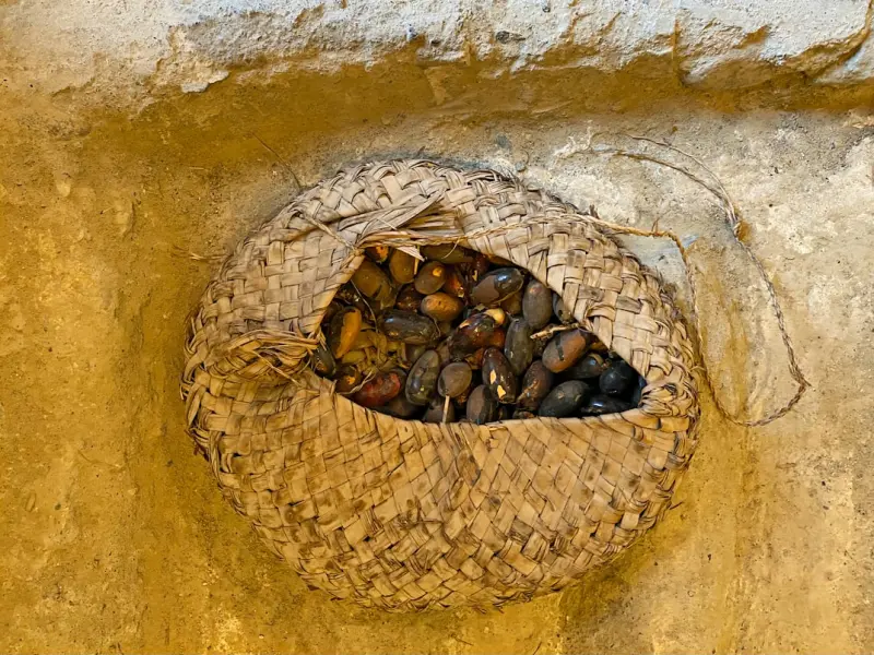 教你成功挽回男友的心