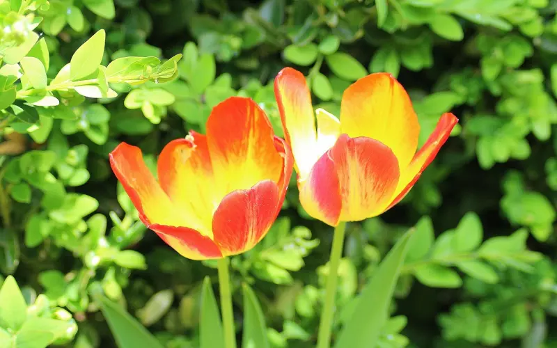 教你怎么挽回男友，男友分手后很绝情，3个挽回男友的绝招