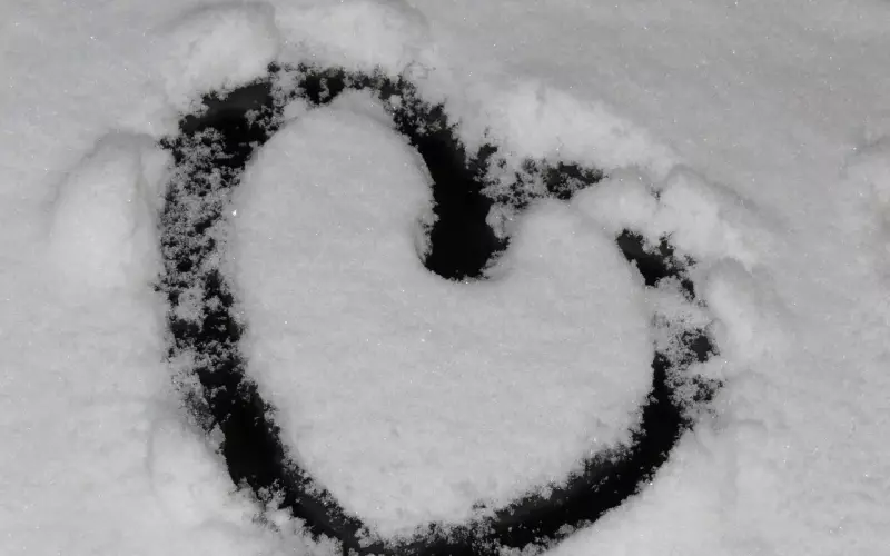 教你如何挽回前男友的心