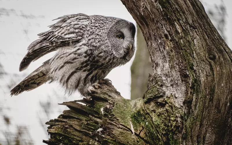 教你追女生的实用技巧!