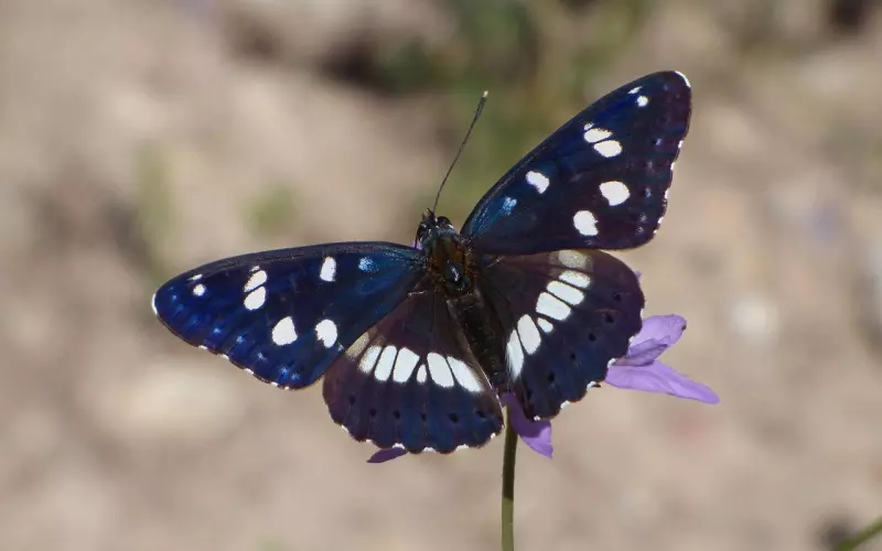 教你若即若离是最好的分寸！