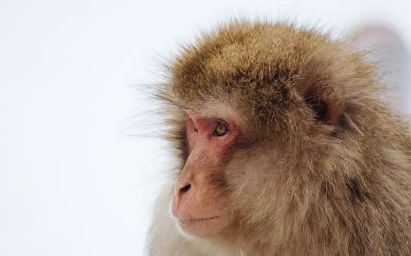 教你聊天的艺术——掌控她的潜台词