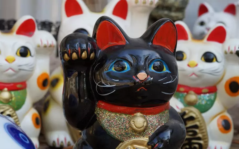 教你这三招，成功挽回男友！