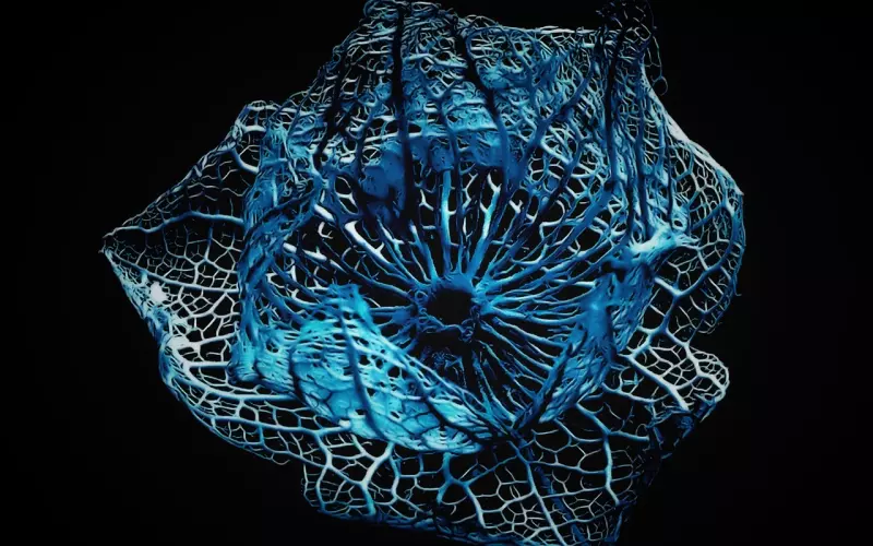 教你和女生聊天，话题源源不断的聊天秘籍！