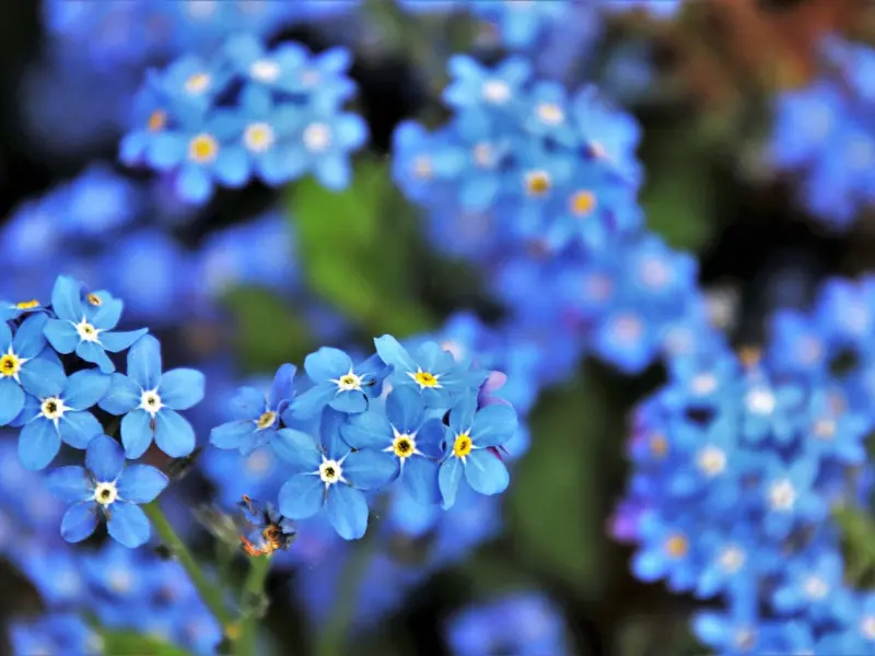 教你用这4招去认清一个人，超级准！有道理！我记下了！