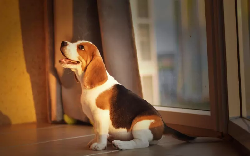 告诉你怎么很好的处理异地恋