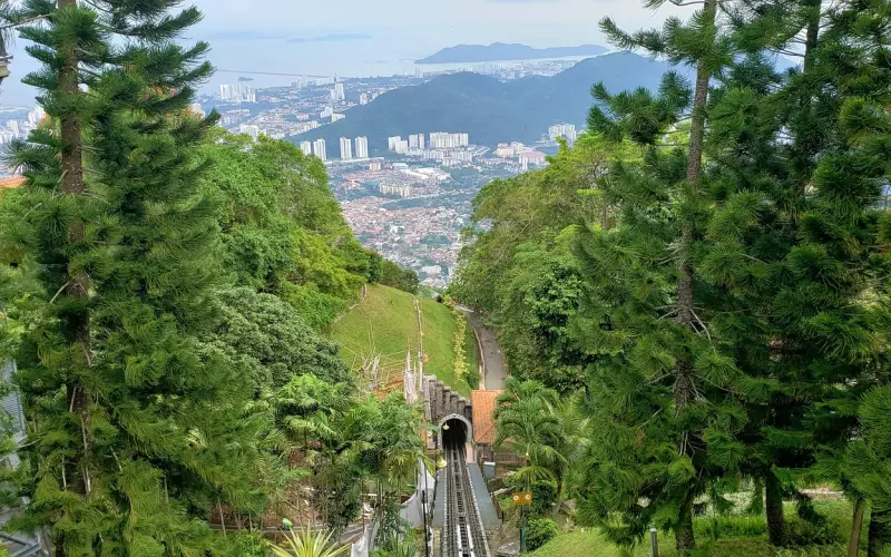 你所不知道的寺庙系列之马来西亚Penang Snake Temple槟城蛇庙