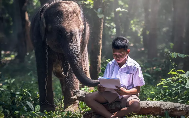 你所不知道的寺庙系列之马来西亚Wat Machimmaram坐佛寺