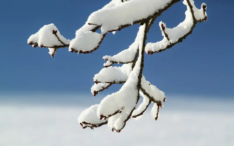 十个细节暗示他已经被你搞定了