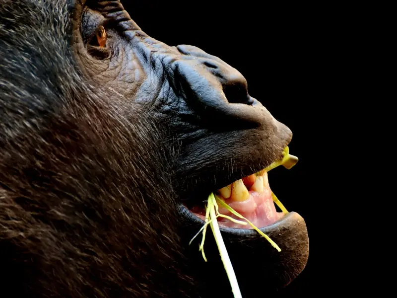 ❤一生中珍惜的十个人